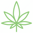 medical-cannabis-hmimg-green